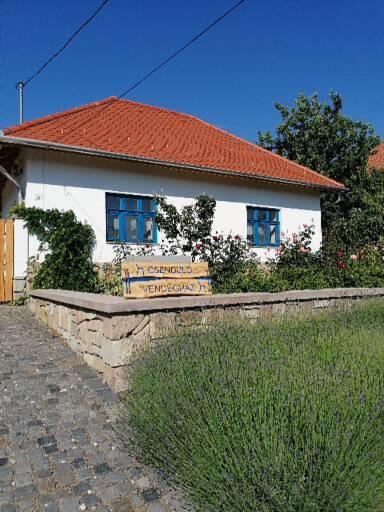 Ferienwohnung Csenduelo Vendeghaz Noszvaj Exterior foto