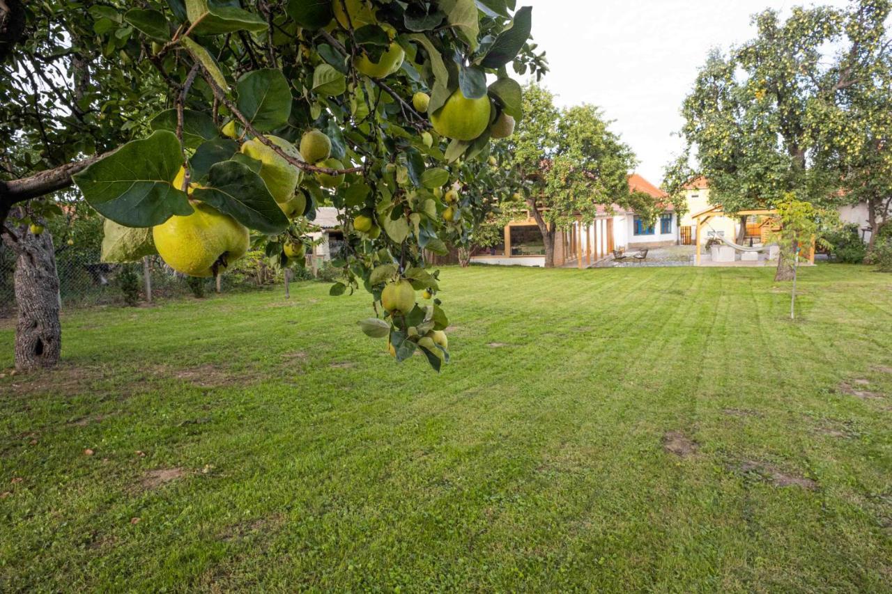 Ferienwohnung Csenduelo Vendeghaz Noszvaj Exterior foto